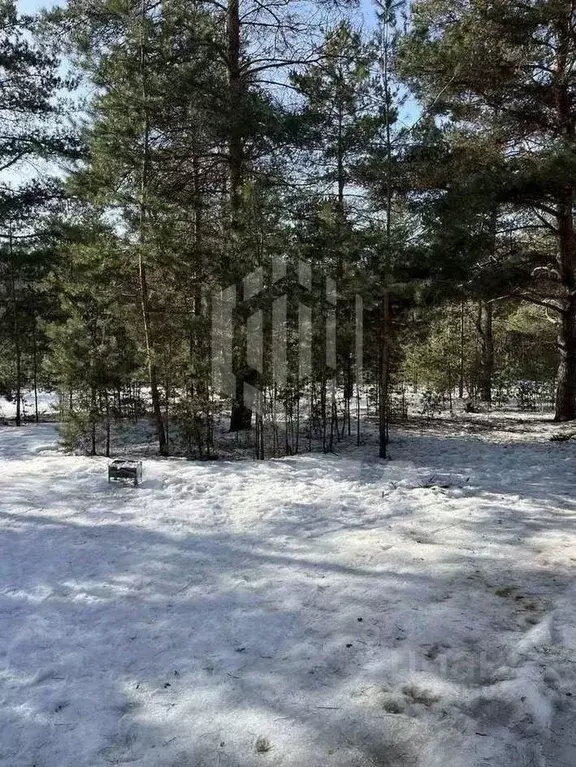 Участок в Воронежская область, Воронеж ул. Генерала Шатилова (7.5 ... - Фото 2