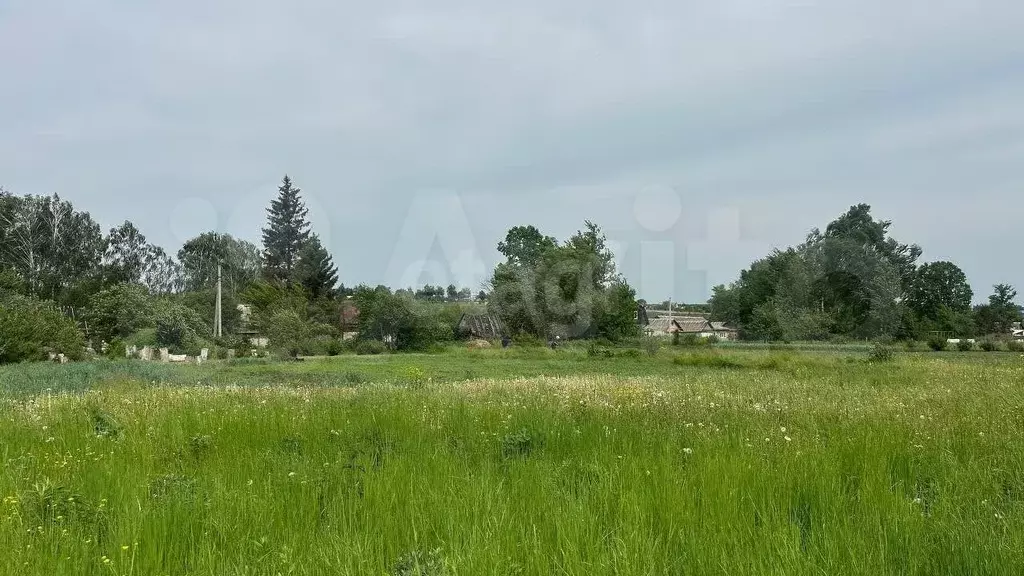 Дача 29,6 м на участке 31 сот. - Фото 1