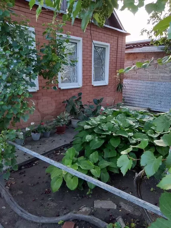 Дом 60 м на участке 9 сот. - Фото 0