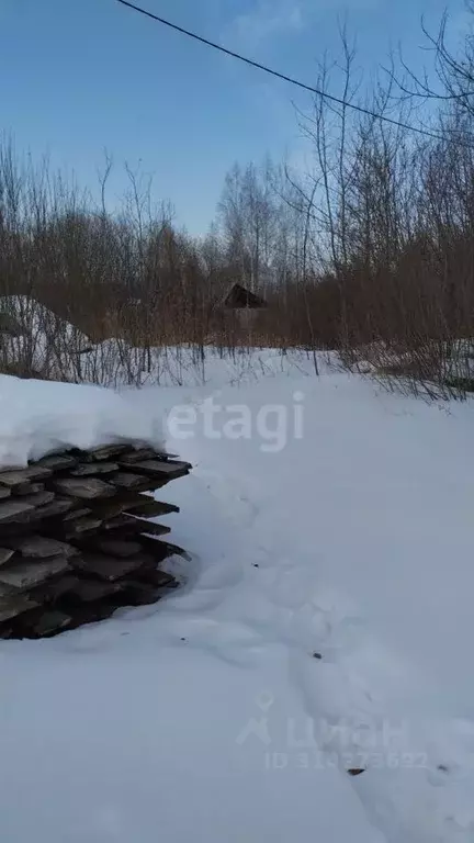 Участок в Курганская область, Шадринск Моховая ул. (10.0 сот.) - Фото 1