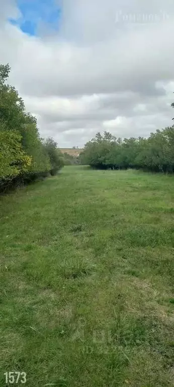 Участок в Ставропольский край, Шпаковский муниципальный округ, с. ... - Фото 2