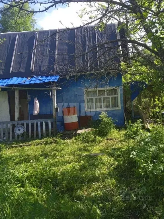 Дом в Вологодская область, Сокольский муниципальный округ, Сокольский ... - Фото 0