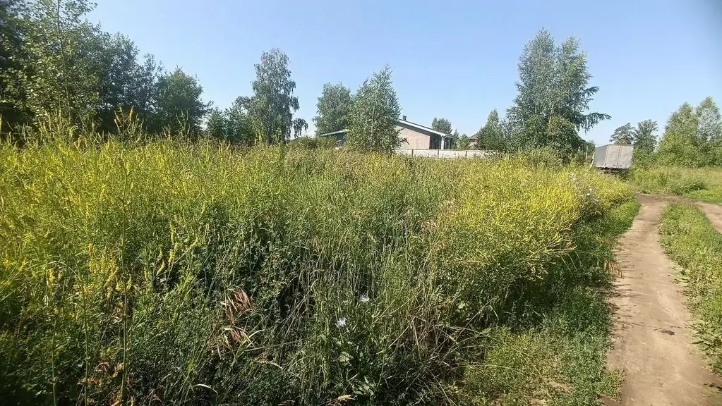 Участок в Новосибирская область, Новосибирский район, Станционный ... - Фото 1
