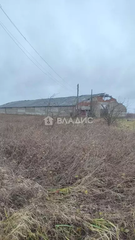 Участок в Калининградская область, Зеленоградский муниципальный округ, ... - Фото 1