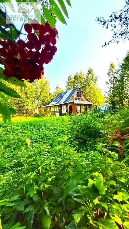 Дом в Архангельская область, Приморский муниципальный округ, ... - Фото 0