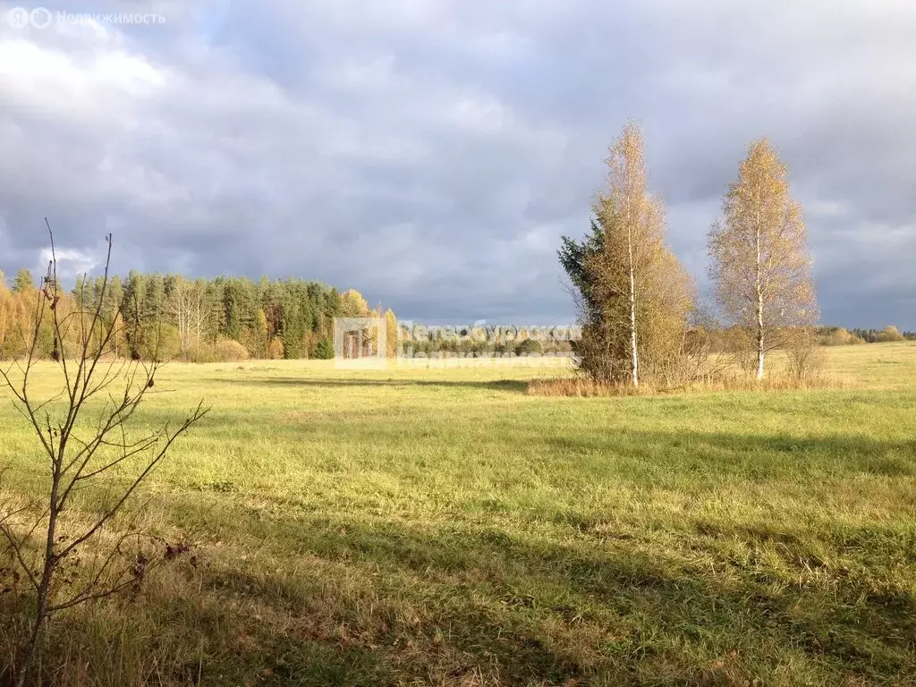 Участок в Выборгский район, Первомайское сельское поселение, посёлок ... - Фото 1