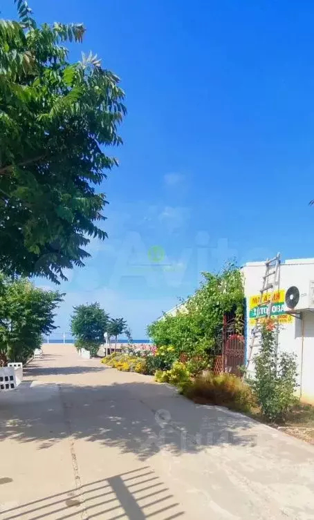 2-к кв. Крым, Сакский район, Лесновское с/пос, с. Прибрежное ул. ... - Фото 1