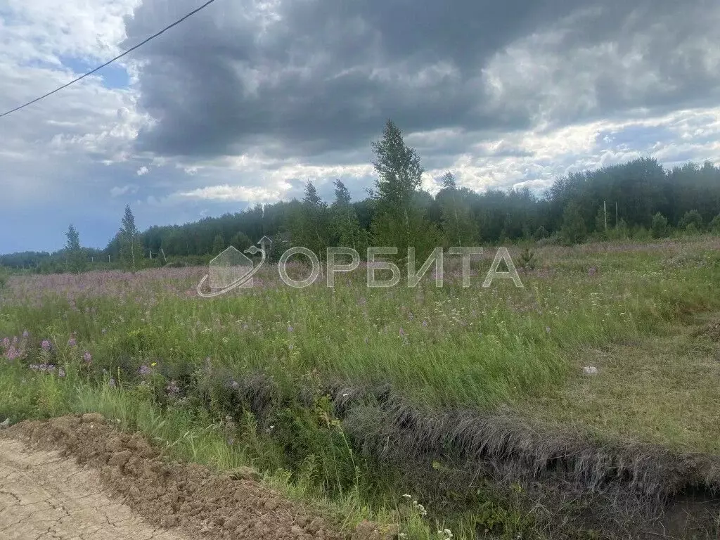 Участок в Тюменская область, Тюменский район, с. Каскара  (325.69 ... - Фото 1