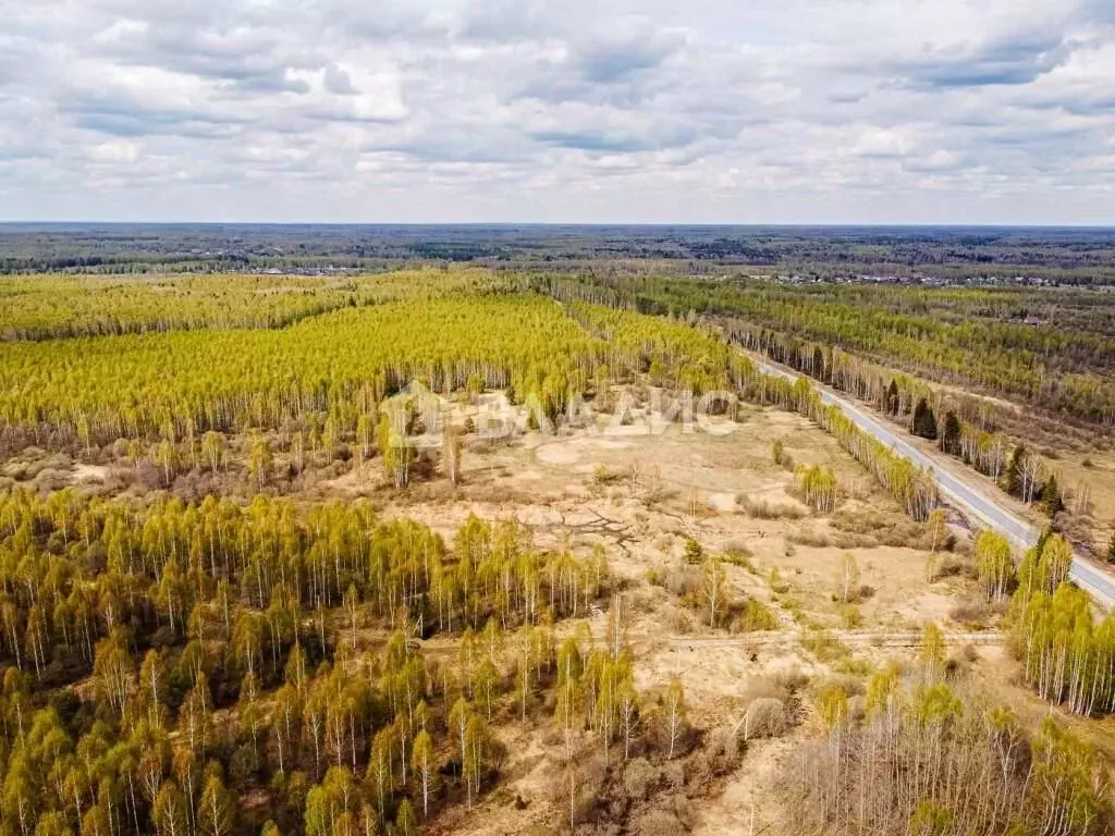 Участок в Владимирская область, Судогодский район, Головинское ... - Фото 1