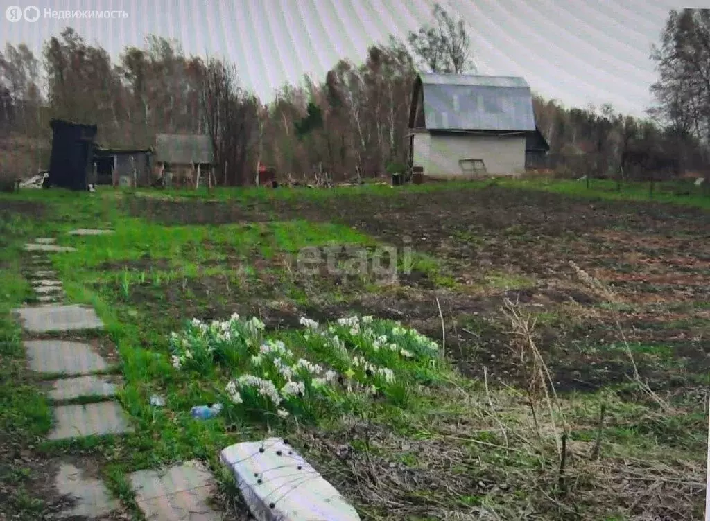 Участок в Томский район, Богашёвское сельское поселение, садоводческое ... - Фото 1