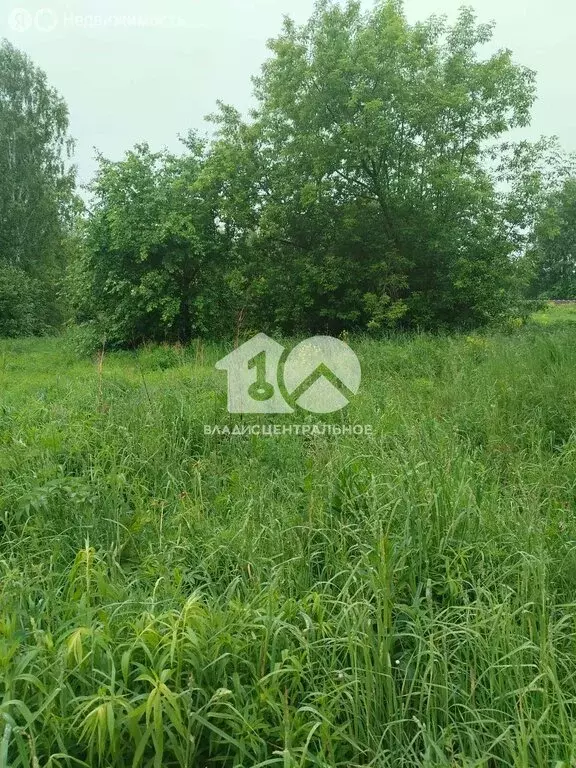 Участок в Станционный сельсовет (13 м) - Фото 1