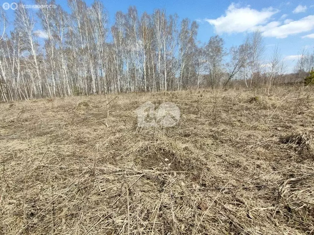 Участок в Новосибирский район, Криводановский сельсовет, село Марусино ... - Фото 1