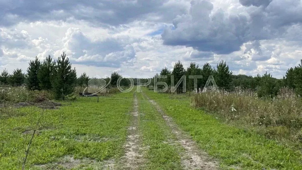 Участок в Тюменская область, Тюменский район, с. Горьковка  (4.0 сот.) - Фото 2