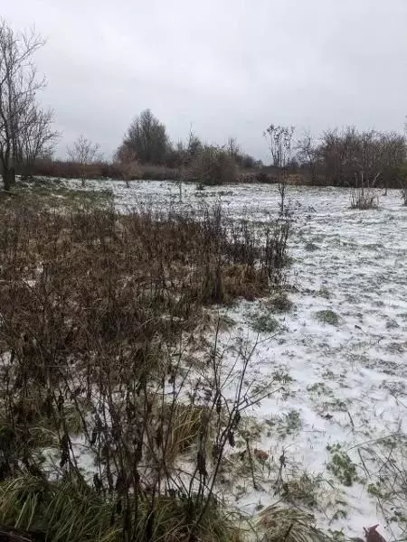 Участок в Калининградская область, Черняховский муниципальный округ, ... - Фото 2