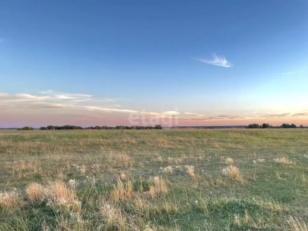 Участок в Челябинская область, Еткульский муниципальный округ, с. ... - Фото 1