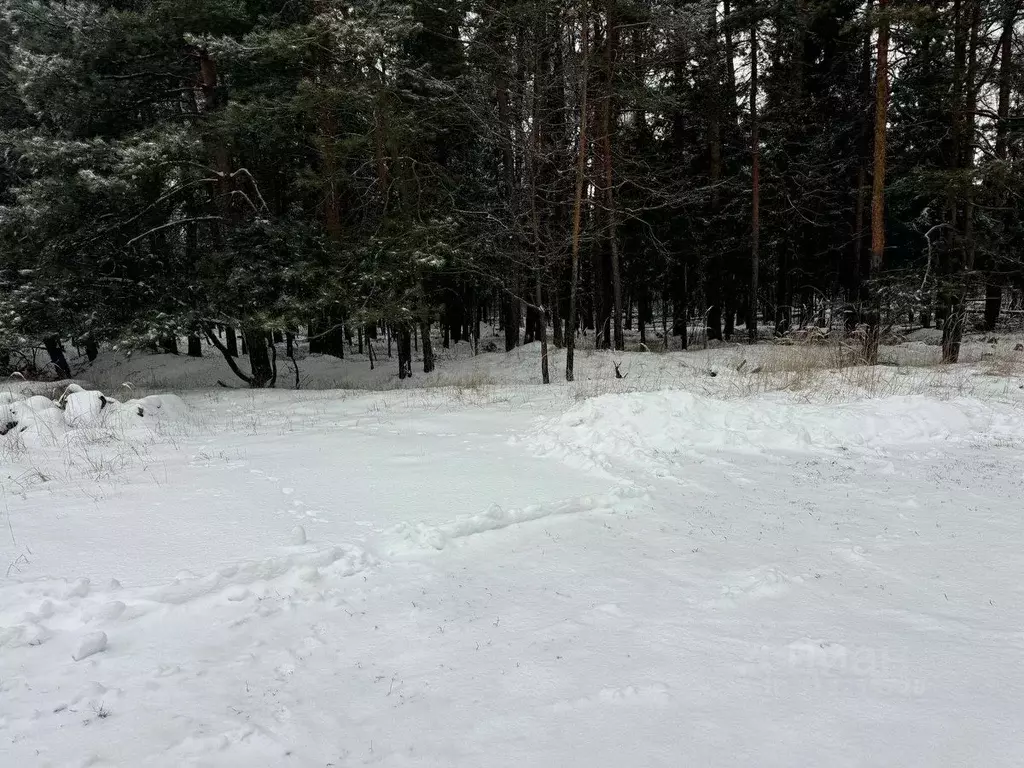 Участок в Московская область, Богородский городской округ, д. Марьино ... - Фото 0