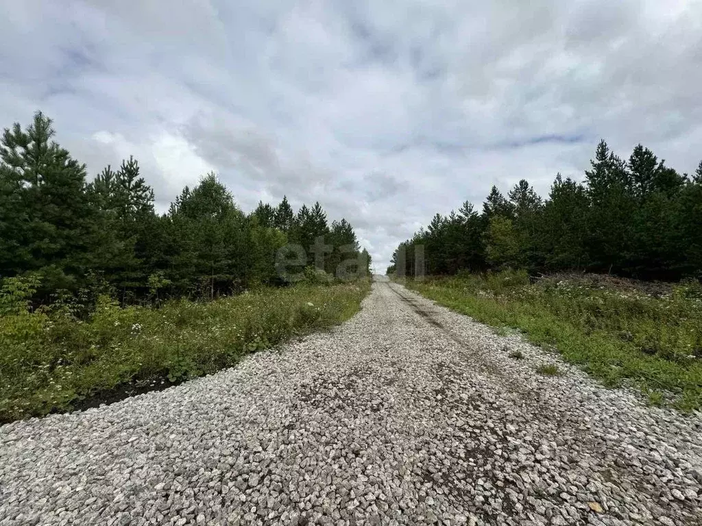 Участок в Свердловская область, Талица  (12.3 сот.) - Фото 1