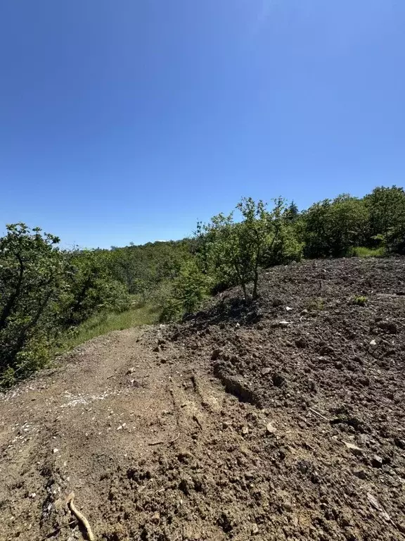 Участок в Крым, Алушта ул. Совхозная, 4 (4.0 сот.) - Фото 1