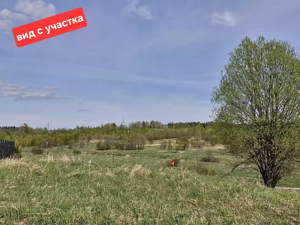 Участок в Ленинградская область, Всеволожский район, Лесколовское ... - Фото 2