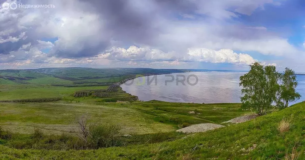 Участок в Нижнебанновское муниципальное образование, село Белогорское ... - Фото 1