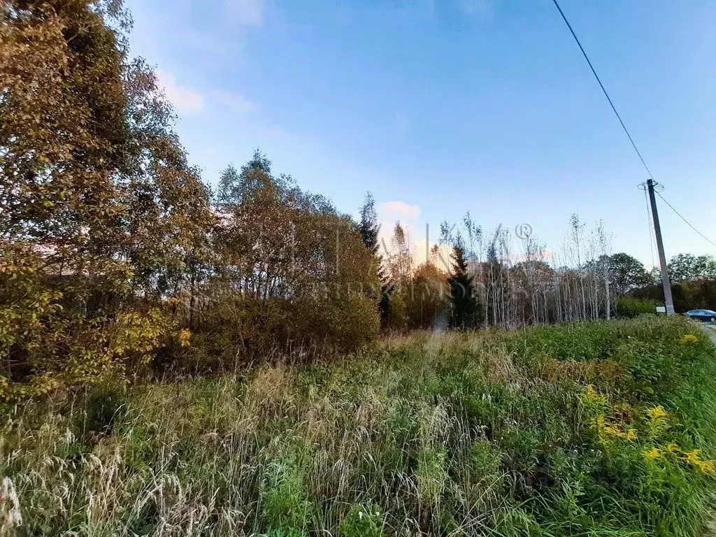 Участок в Ленинградская область, Кингисеппский район, Опольевское ... - Фото 2