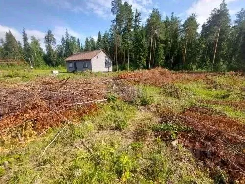 Участок в Коми, Корткеросский район, Додзь муниципальное образование, ... - Фото 2