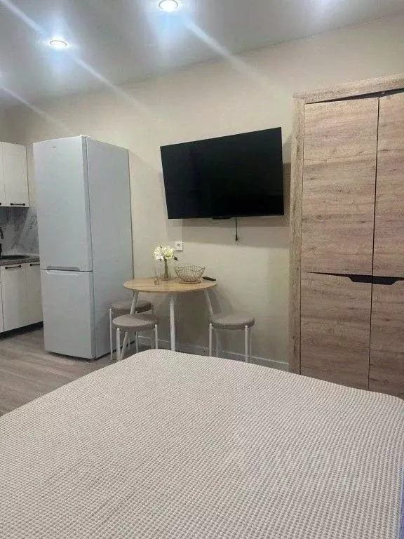 1-к кв. Краснодарский край, Сочи ул. Искры, 88к3 (25.0 м) - Фото 1