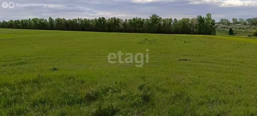 Участок в Волоконовский район, Репьевское сельское поселение, село ... - Фото 1