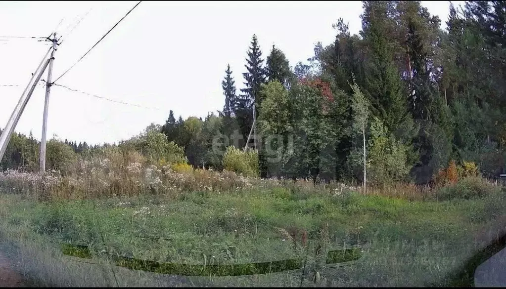 Участок в Коми, Сыктывдинский район, с. Выльгорт, Важъелью мест.  ... - Фото 1