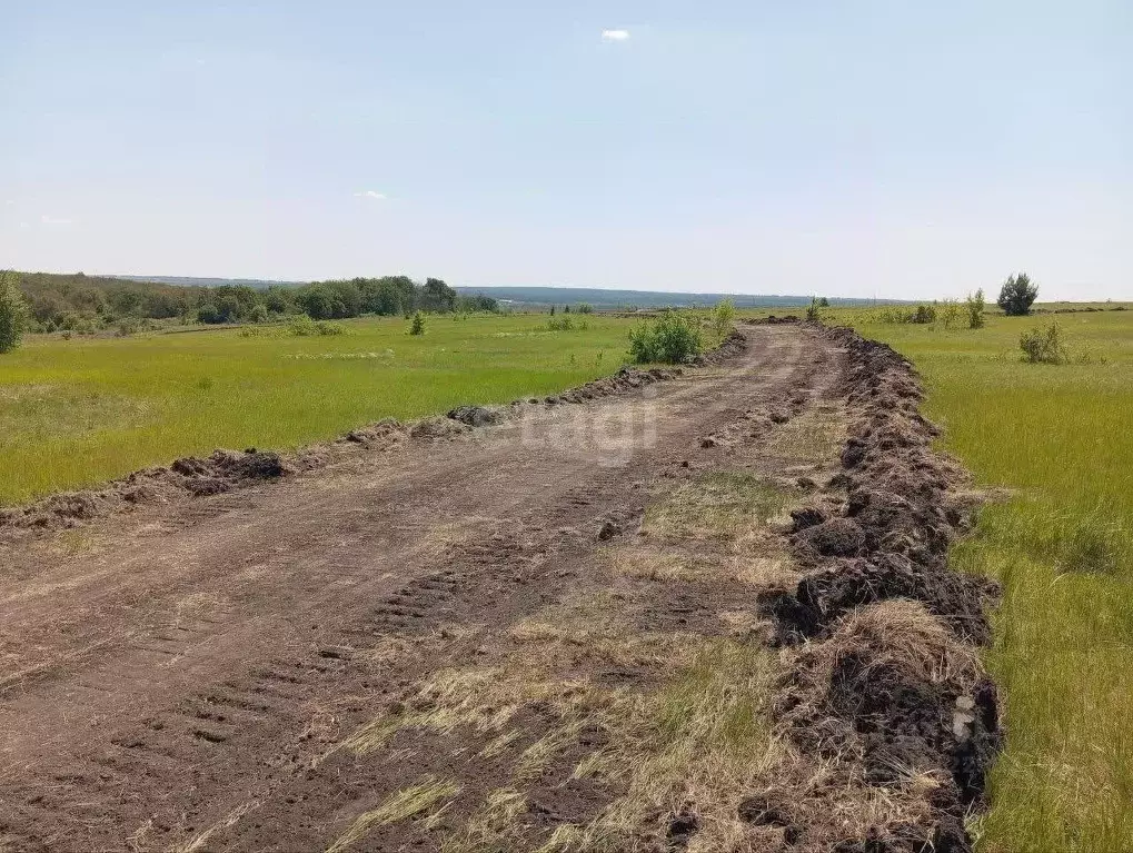 Участок в Белгородская область, Старый Оскол ул. Морозная, 12 (15.0 ... - Фото 1