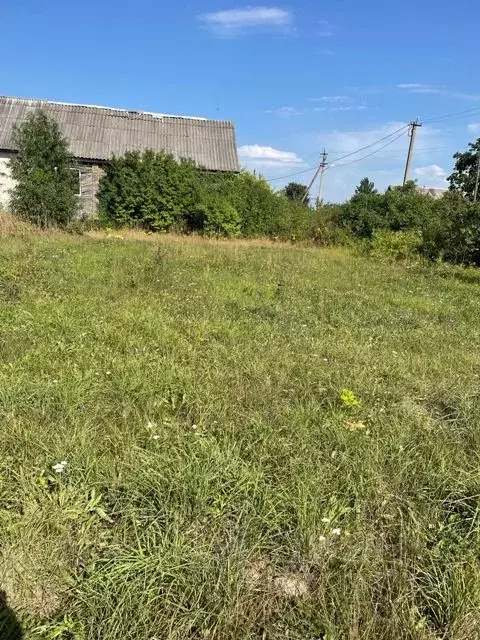 Дом в Новгородская область, Валдайский район, Едровское с/пос, с. ... - Фото 2