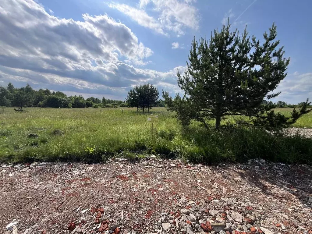 Участок в Московская область, Богородский городской округ, Следово кп ... - Фото 2