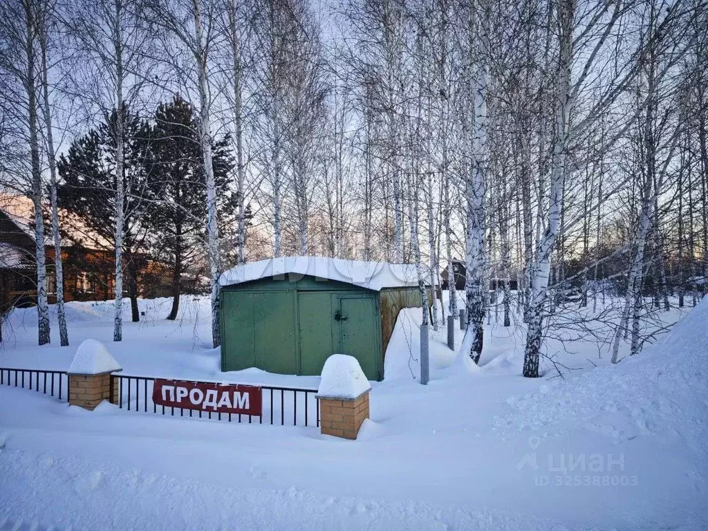 Участок в Новосибирская область, Коченевский район, Витязь садовое ... - Фото 2