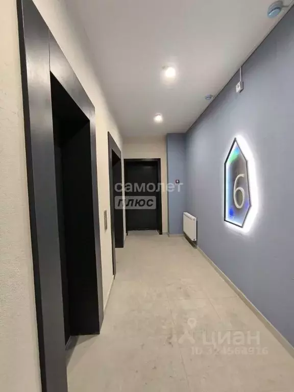 Студия Липецкая область, Липецк ул. М.И. Неделина, 4Д (29.5 м) - Фото 1