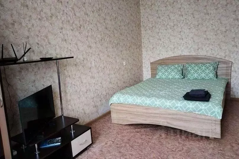 1-к кв. Нижегородская область, Нижний Новгород Бурнаковская ул., 91 ... - Фото 2