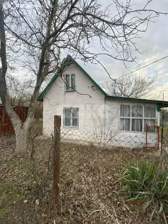 Участок в Истоминское сельское поселение, СНТ Природа (5.11 м) - Фото 2