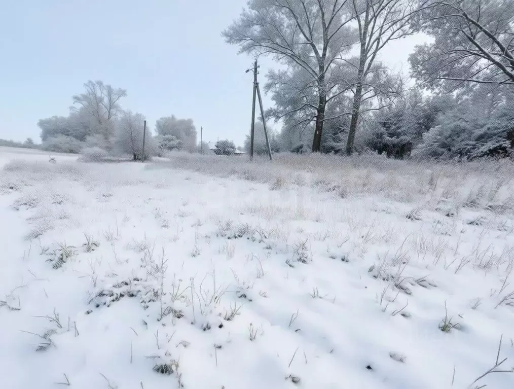 Участок в Тульская область, Чернский район, Липицкое с/пос, д. Юрово  ... - Фото 2
