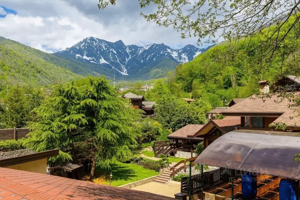 Дом в Краснодарский край, Сочи Красная Поляна пгт, ул. Дворцовая (300 ... - Фото 1