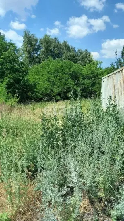 Участок в Белгородская область, Яковлевский муниципальный округ, с. ... - Фото 1