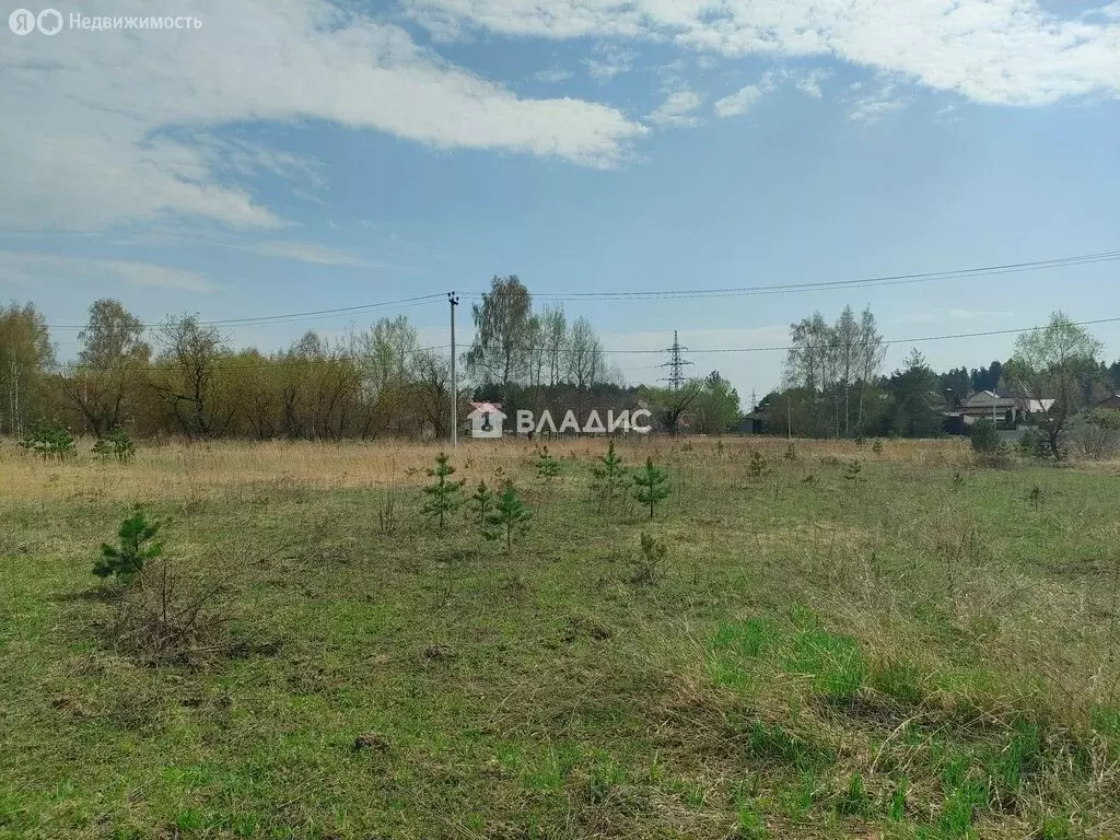Участок в Ногинск (46 м) - Фото 1