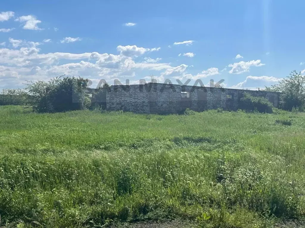 Производственное помещение в Адыгея, Гиагинский район, Дондуковское ... - Фото 2