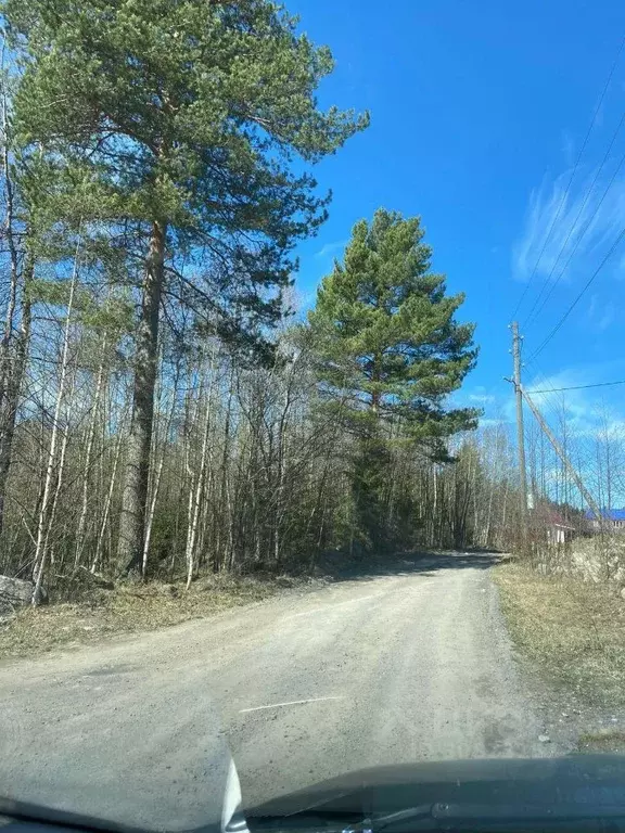 Дом в Карелия, Кондопога Летняя ул. (42 м) - Фото 1