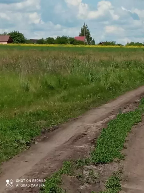 участок в воронежская область, семилукский район, с. медвежье (16.5 . - Фото 1