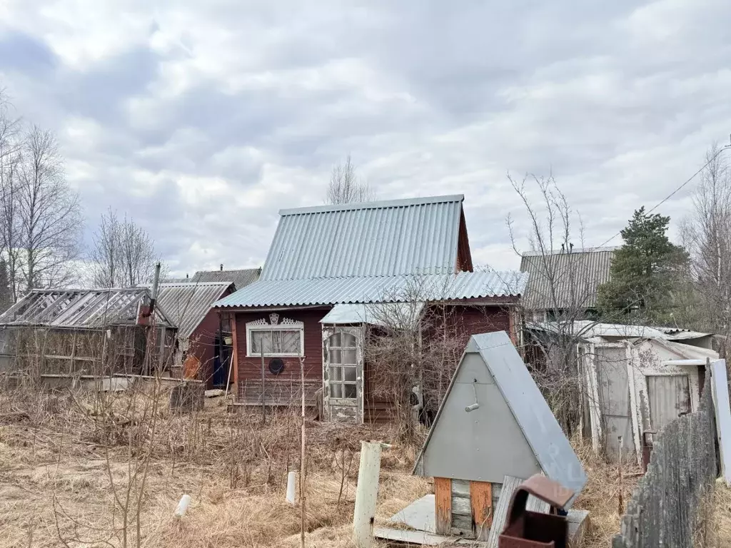 Дом в Архангельская область, Приморский муниципальный округ, Калинушка ... - Фото 1