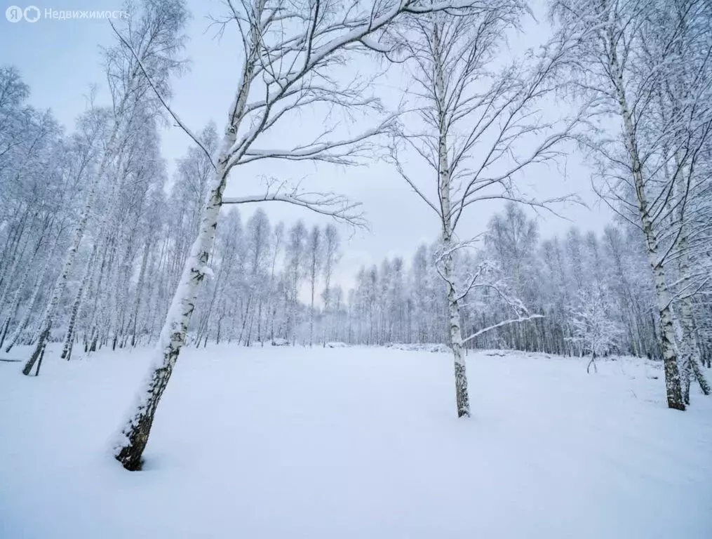 Участок в Тула, улица Синицына (11 м) - Фото 2