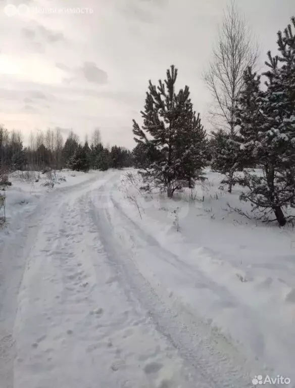 Участок в Красноярск (114.97 м) - Фото 1