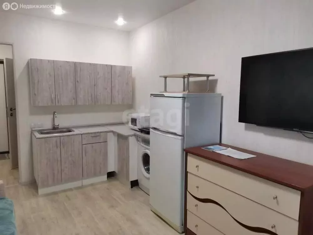 Квартира-студия: Мурино, Ручьёвский проспект, 4/26 (19.8 м) - Фото 1