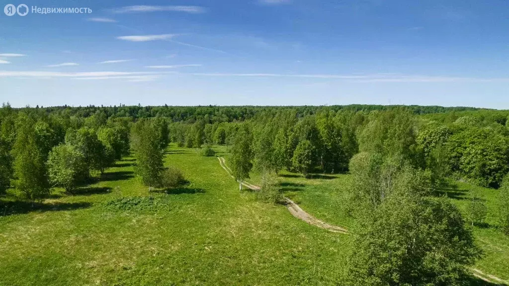 Участок в Лопухинское сельское поселение (7.2 м) - Фото 1