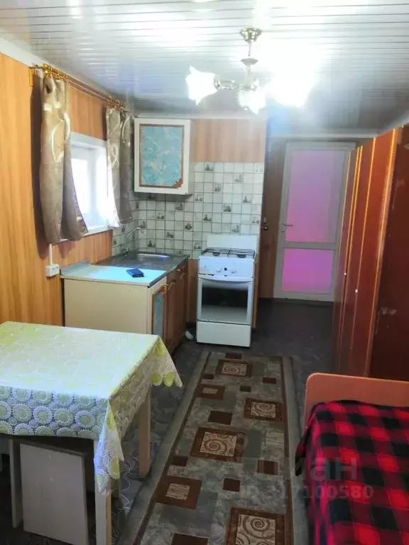 Дом в Алтайский край, Яровое ул. Верещагина, 36 (25 м) - Фото 0