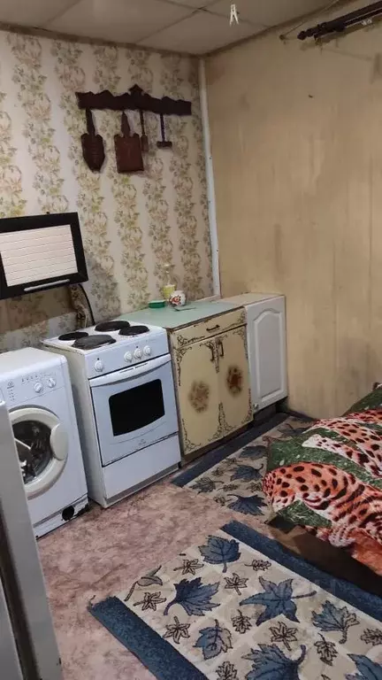 1-к кв. Красноярский край, Красноярск Медицинский пер., 14 (28.0 м) - Фото 0